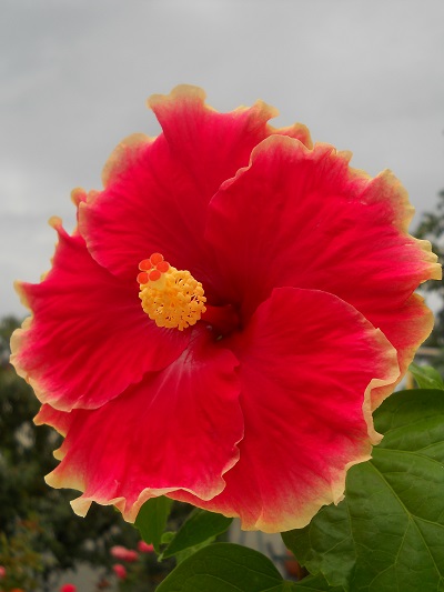 DSCN5621.JPG