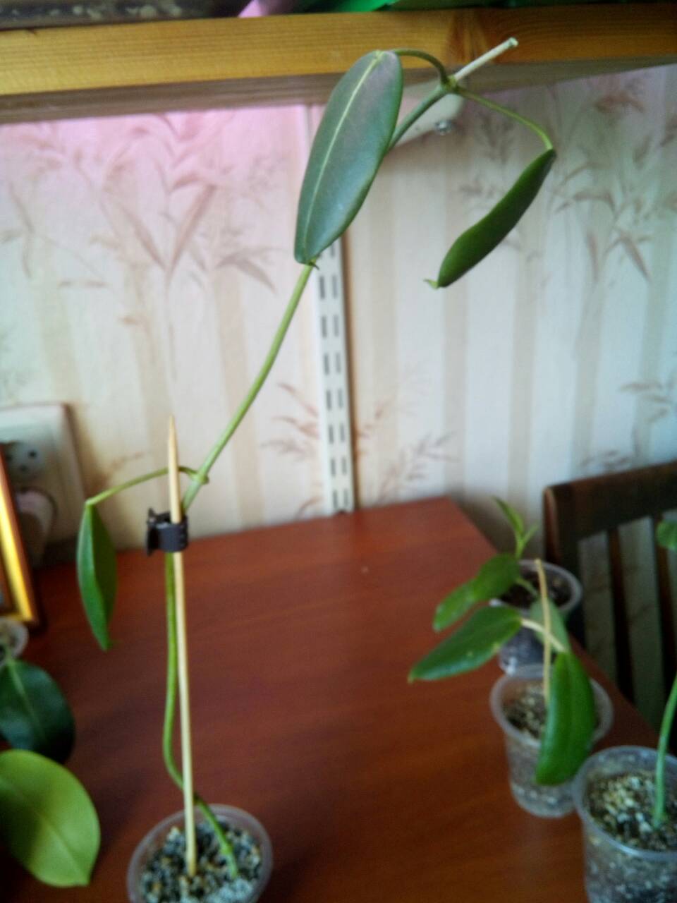 viber image11.jpg