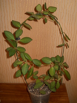 DSCN8760.JPG