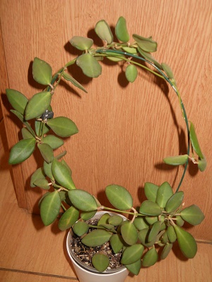 DSCN8711.JPG