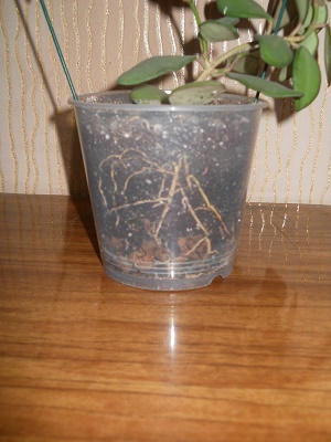 DSCN8759.JPG