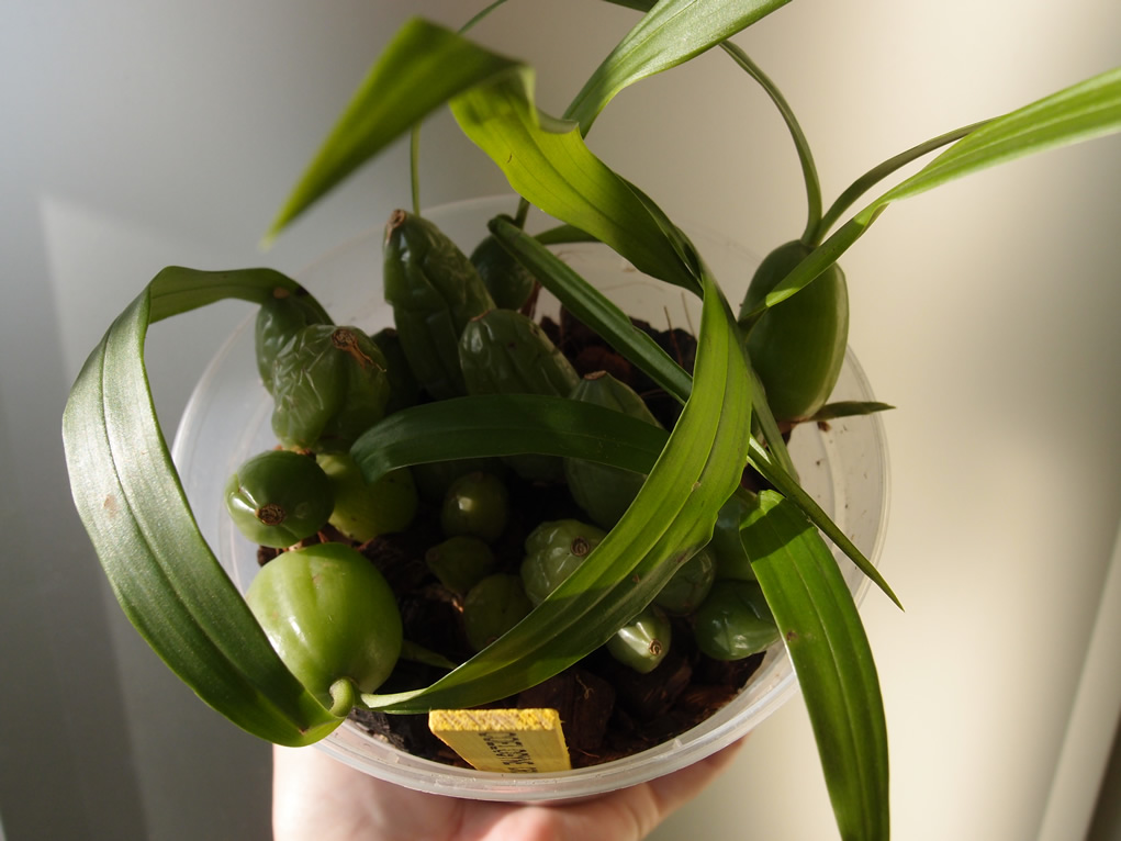 P4105973q.jpg