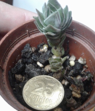 20180420_233849.jpg