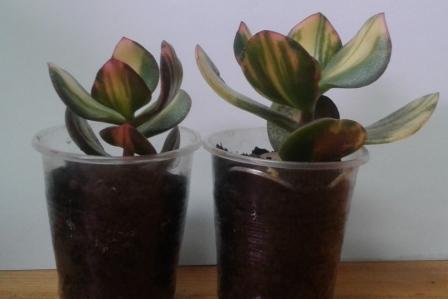 20180420_233942.jpg
