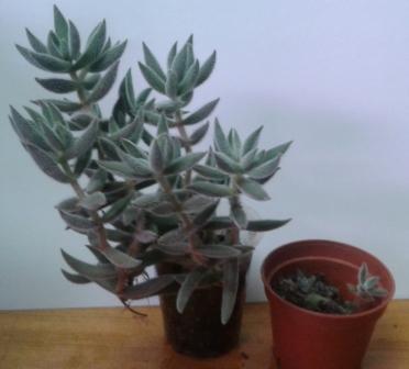 20180420_234051.jpg