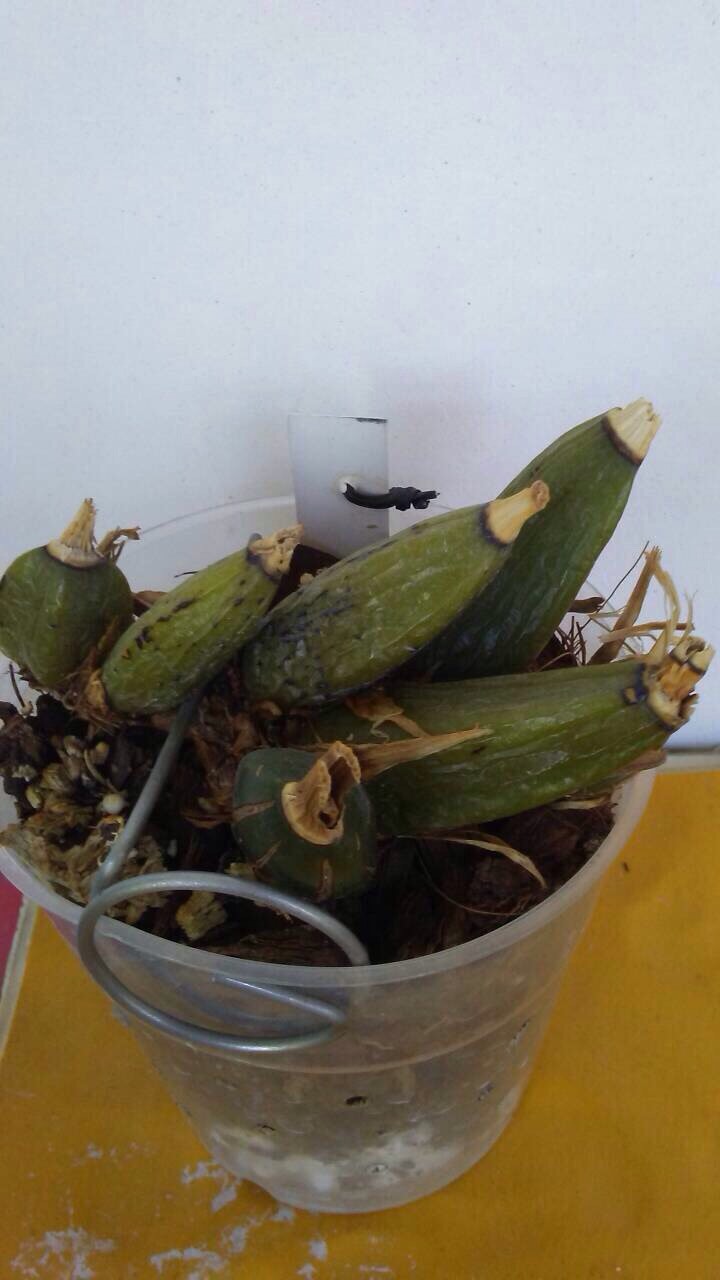 viber image7.jpg