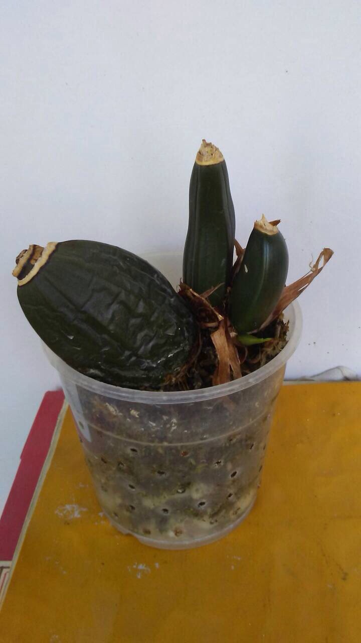 viber image1.jpg