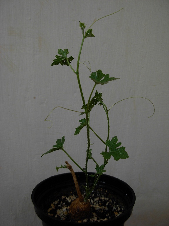 DSCN6669.JPG