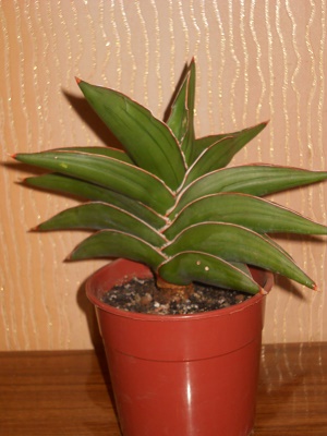 DSCN8846.JPG