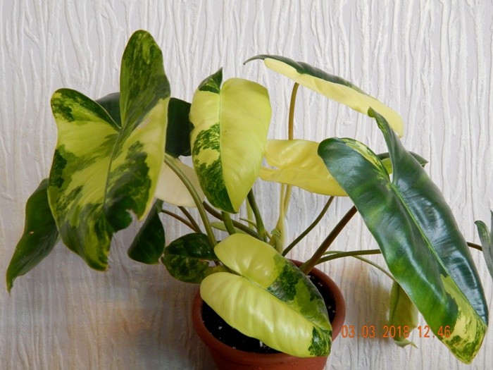 image (19).jpg