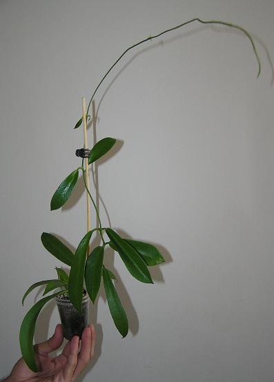 P1010061.JPG