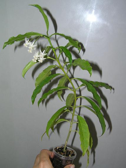 P1010091.JPG