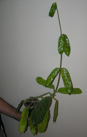 P1010016.JPG
