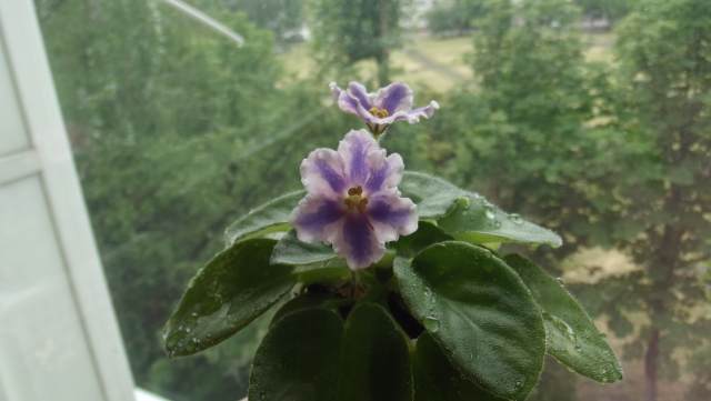 DSCF2388.JPG