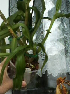 IMG00089.jpg