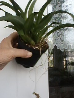IMG00079.jpg