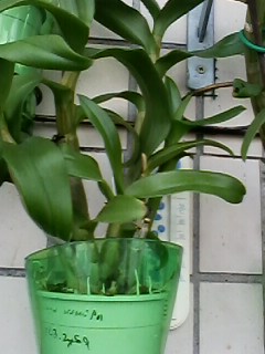 IMG00086.jpg