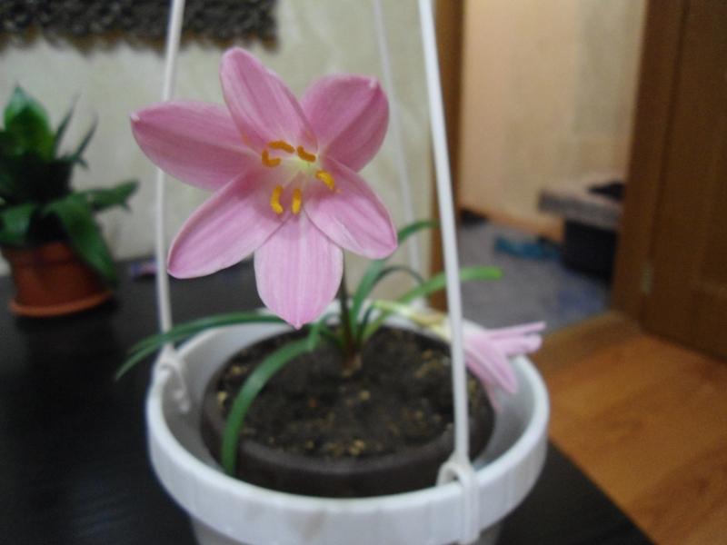 DSC03044.JPG