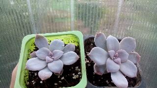 tmp-cam-973565044.jpg