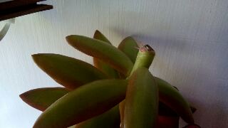 tmp-cam-1563905380.jpg