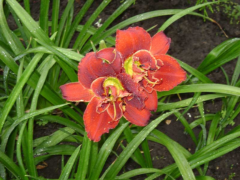 DSC04023.JPG
