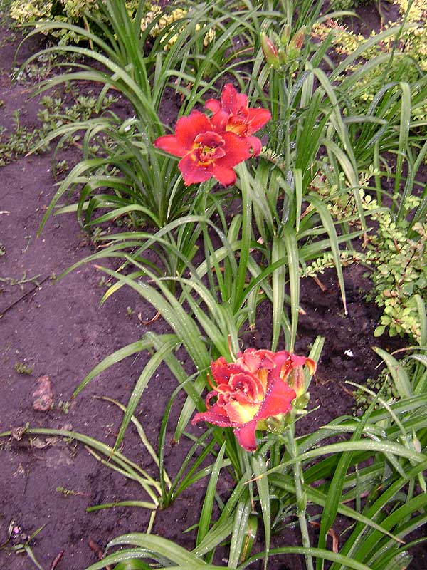 DSC04025.JPG