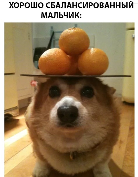 баланс.jpg