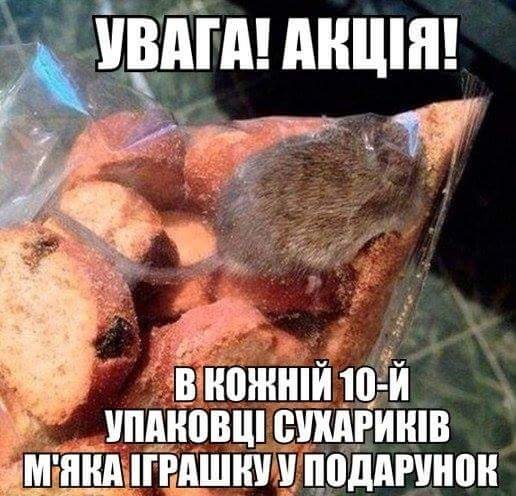 акція.jpg