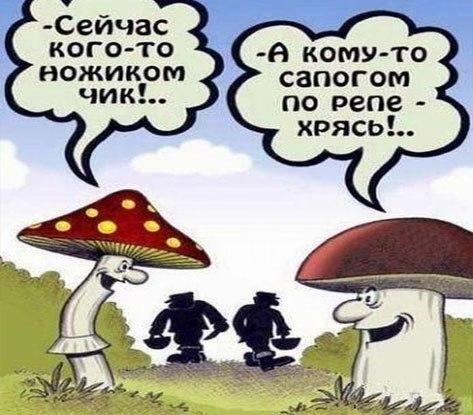 чик.jpg