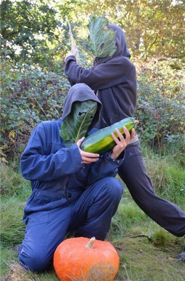 нинзя.jpg