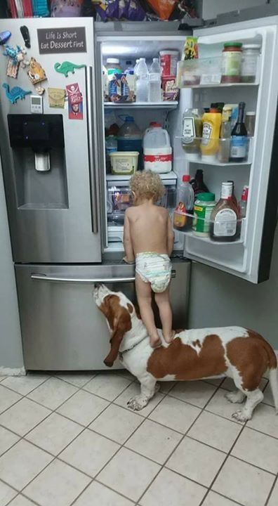 а ну ка.jpg