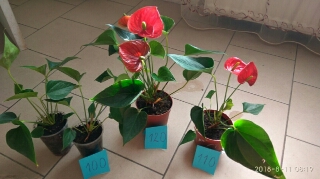 temp1_640x359_320x179.jpg