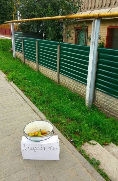угощайтесь.jpg