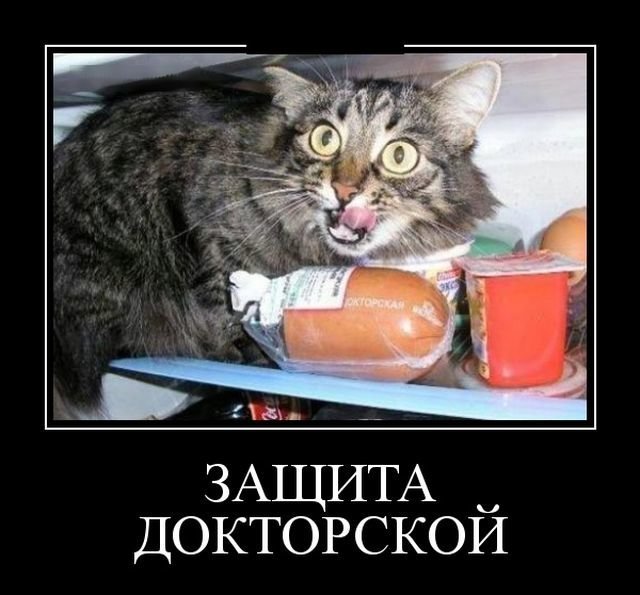 защита докторской.jpg