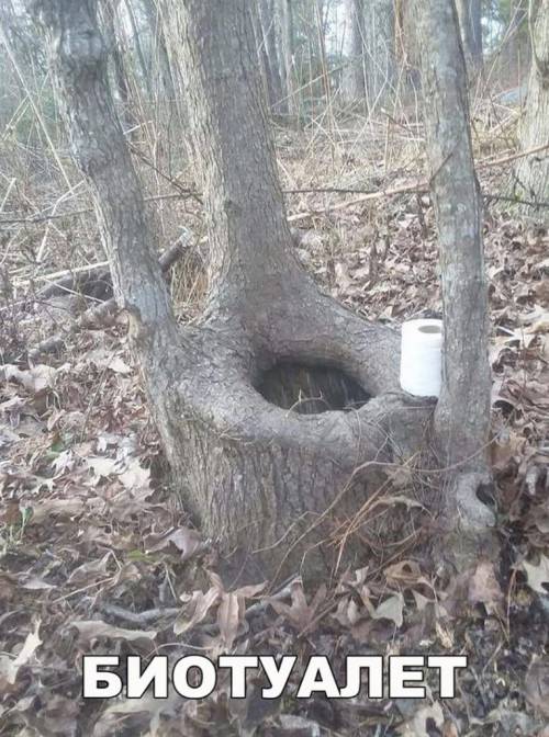 биотуалет.jpg