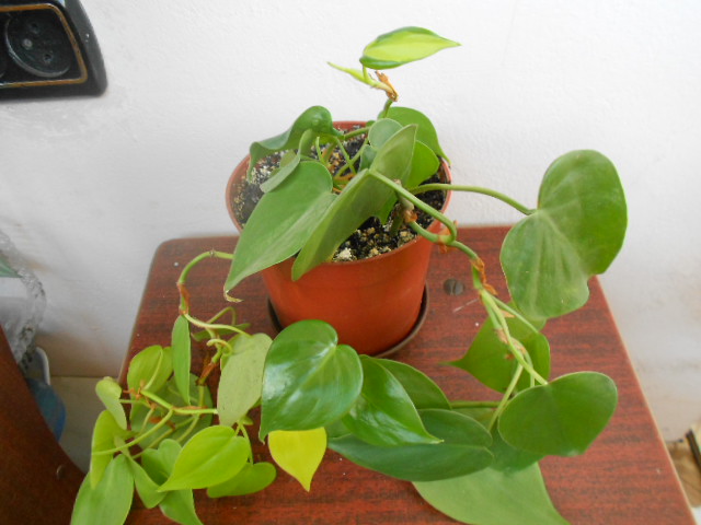 DSCN3710.JPG