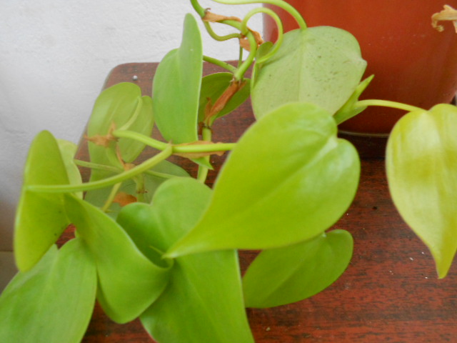 DSCN3712.JPG