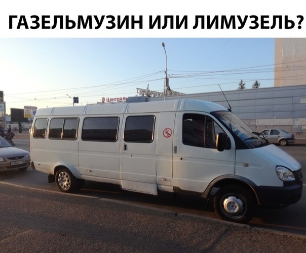 чойто.jpg