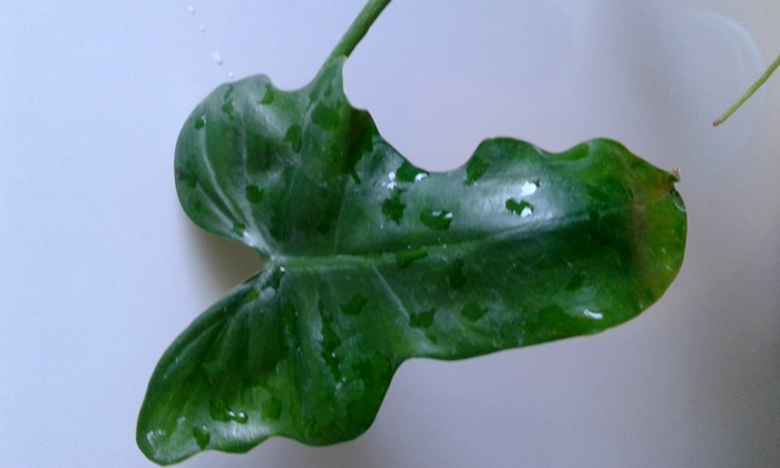 20180821_104144.jpg