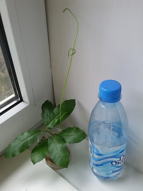 20180915_104251.jpg