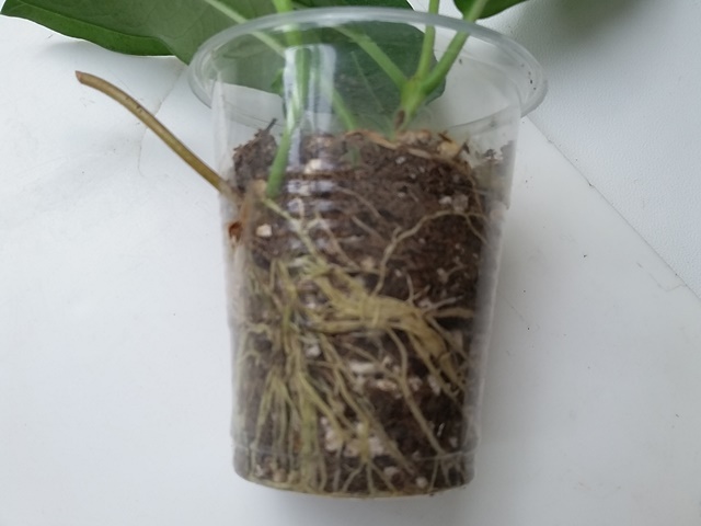 20180915_104402.jpg