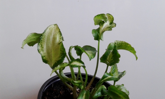 20180827_161329.jpg