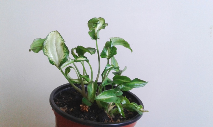 20180827_161358.jpg