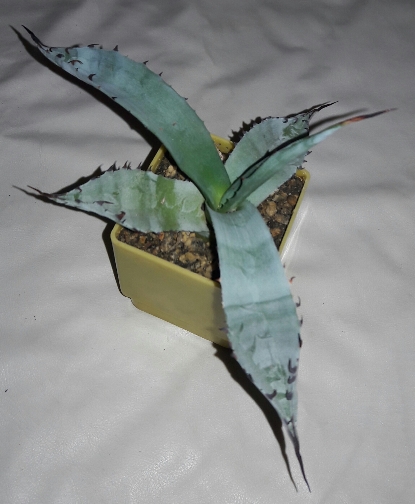20180916_155029.jpg