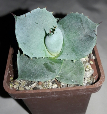 20180916_174732.jpg
