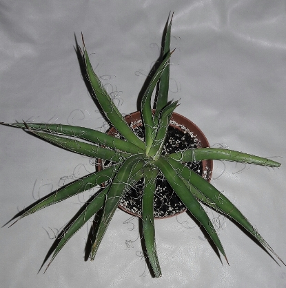 20180916_185103.jpg