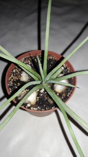 20180916_203405.jpg