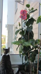 IMG_5326.jpg