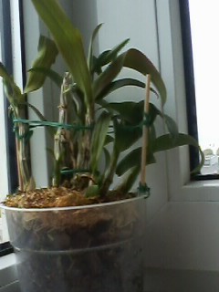 IMG00299.jpg