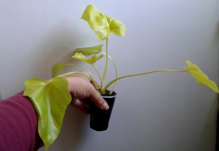 20180930_151402.jpg